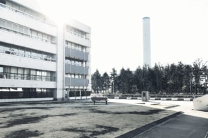 みたかまちづくりディスカッション