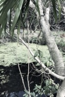 三鷹市大沢の里古民家