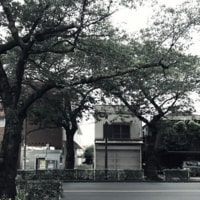 吉祥寺の住宅 KSN