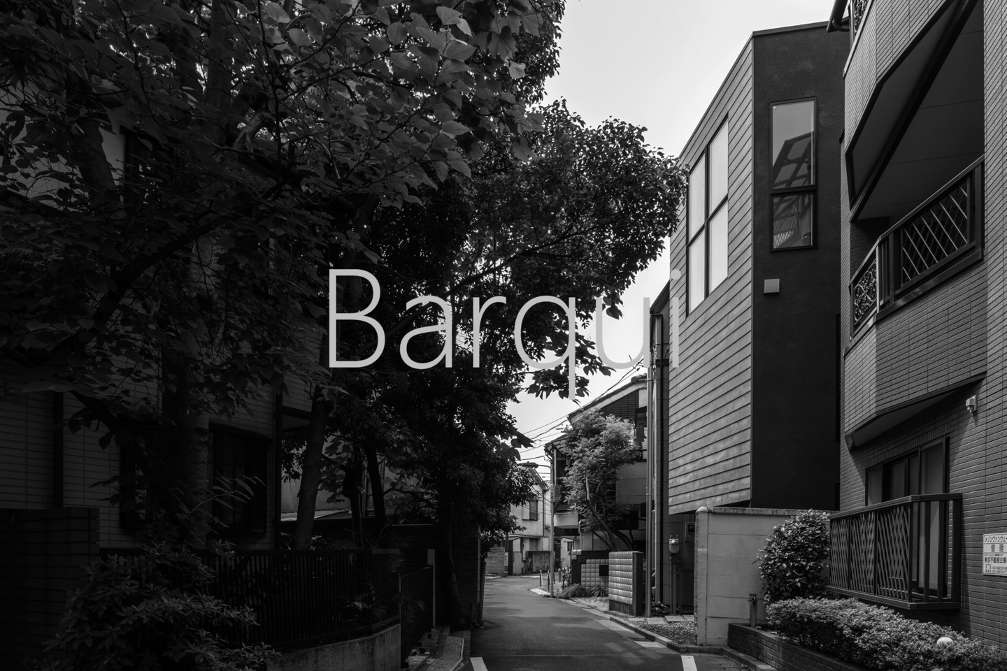 Barqui