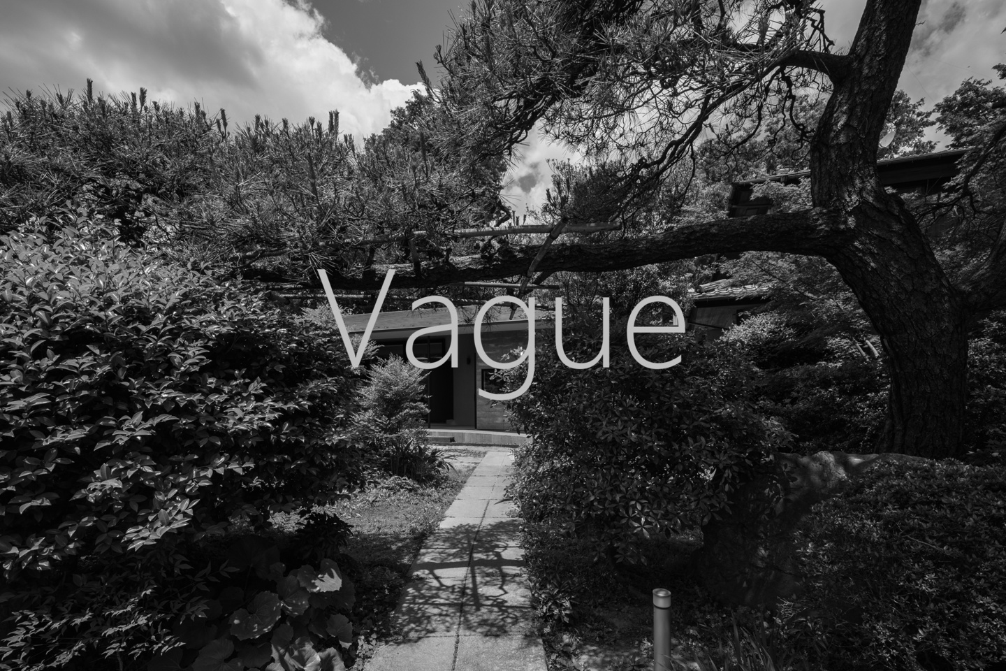 Vague